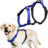 kazazoo arnés ajustable azul xl muestra comodidad y ajuste seguro.