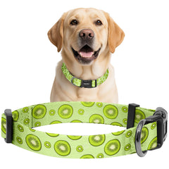Collar kazazoo con ajuste XS para perro, cómodo y seguro en paseos