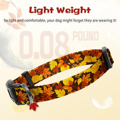 Kazazoo collar ajustable M para perros medianos.