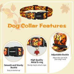 Kazazoo collar ajustable XS para perros pequeños.