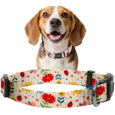 Collar kazazoo para perros con ajuste práctico para paseos diarios.