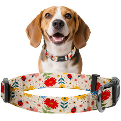 Collar kazazoo para perros con ajuste práctico para paseos diarios.