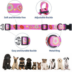 Collar kazazoo sin tirones con frontal, ideal para paseos tranquilos.
