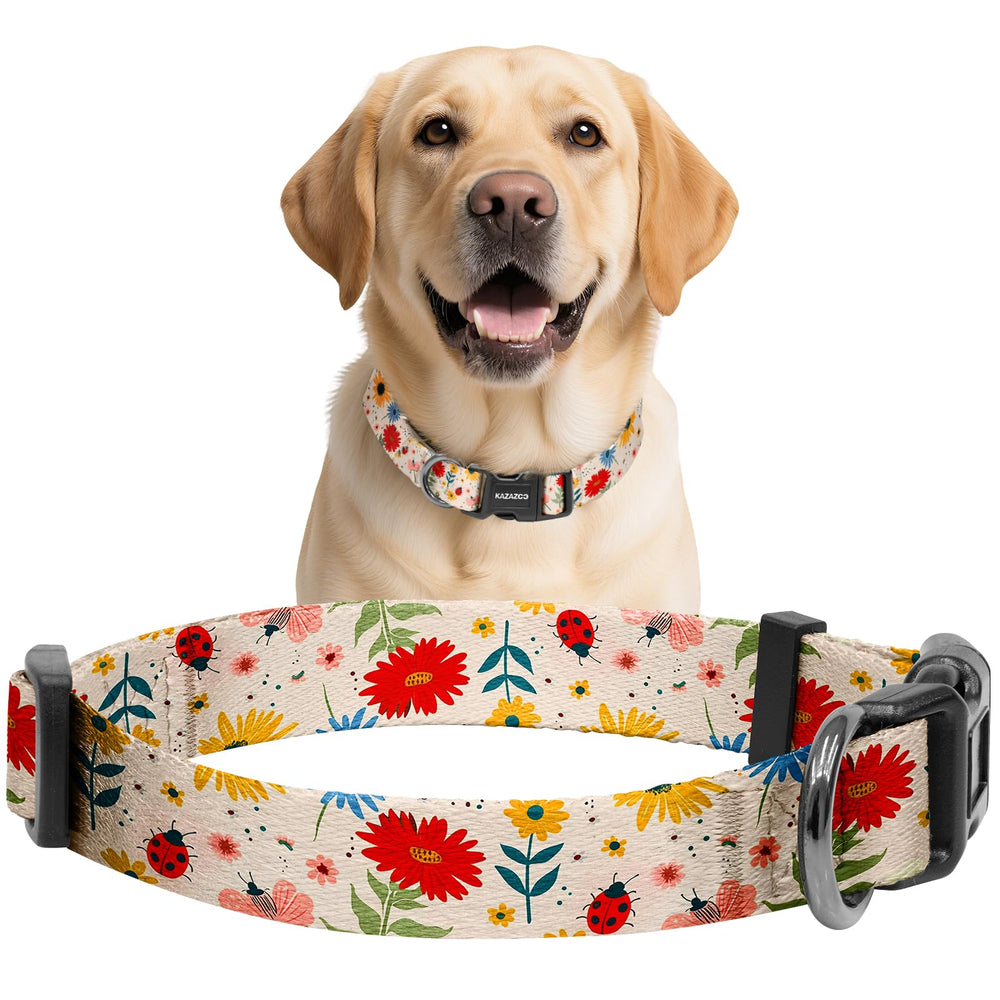 Collar Kazazoo con motivos de mariquitas y flores para paseos diarios