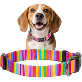 Kazazoo collar nylon suave arco iris frente, paseo cómodo diario.