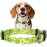 Kazazoo collar-perro-nylon-suave: tacto suave para paseos diarios sin irritar la piel.