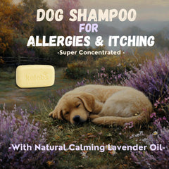 KELEBS champú para perro, lavanda calmante durante el baño.