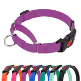 Kidding Pets Collar Martingale impermeable morado, vista frontal, ideal para evitar que el perro se escape.