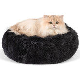 Cama Kimpets negra de 16 pulgadas para descanso cómodo.