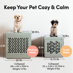 KindTail PAWD estilo decorativo que encaja en tu hogar