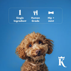 King Lou snacks proteicos de pollo para perros, textura crujiente y sabrosa.