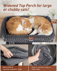 Kinotail gato grande: cama superior 20.9x15.7 para estirarse.