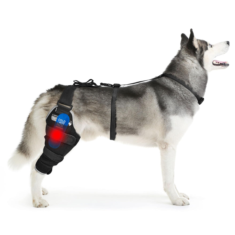 Rodillera KISFLY para perro, rodilla derecha, soporte cómodo