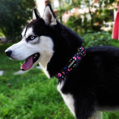 Collar KISSBAK floral púrpura, viste a tu perro con estilo en el parque.