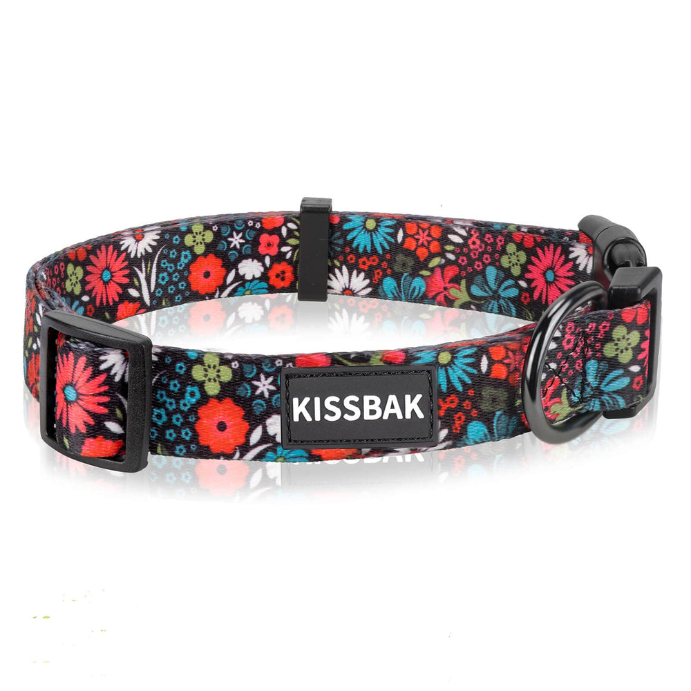 KISSBAK collar grande con cierre rápido y diseño floral rojo para paseos.