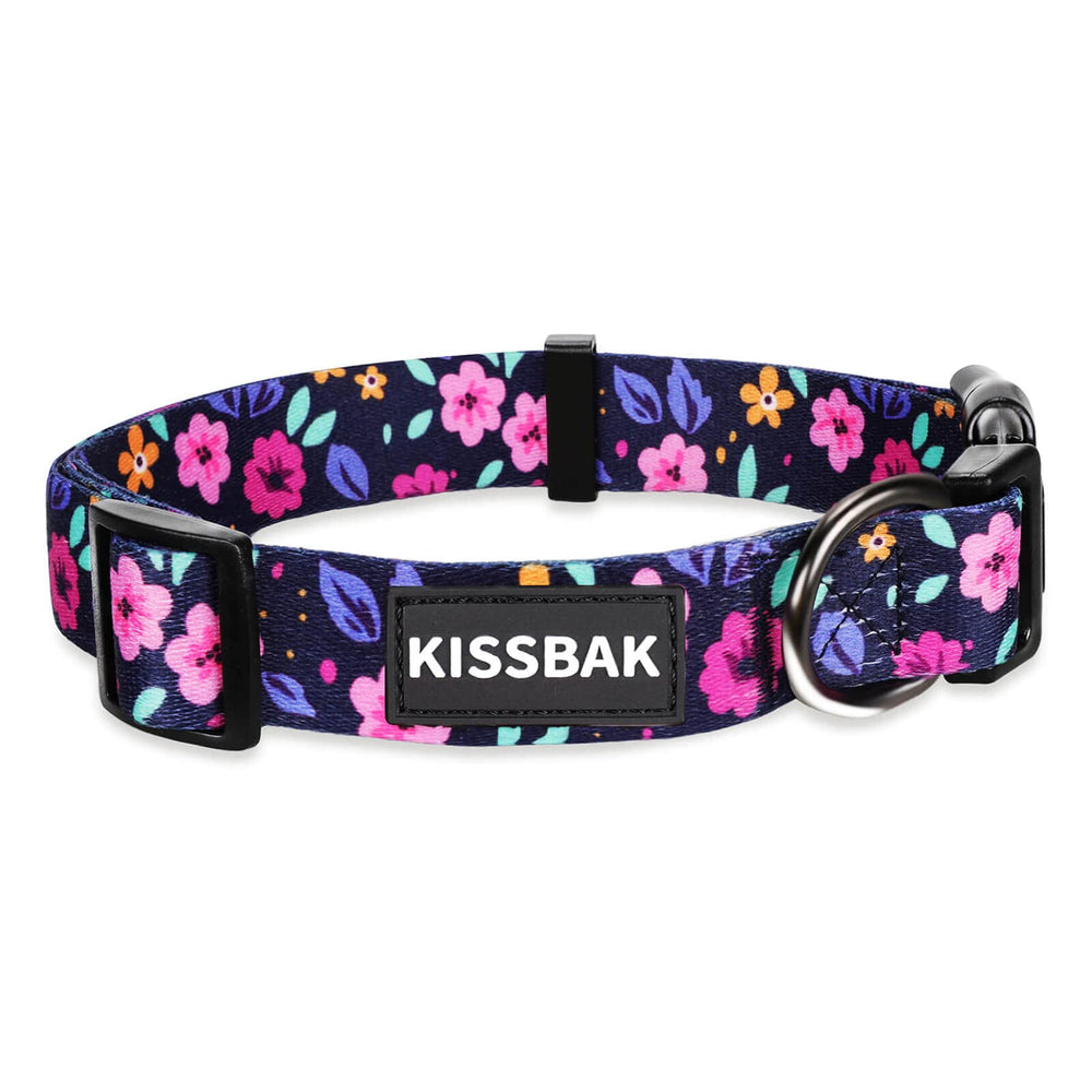 Collar KISSBAK para perros grandes, diseño floral rosa peonía, ideal para paseos diarios.
