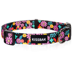 KISSBAK collar para perro grande con margarita rosa, cómodo para paseos