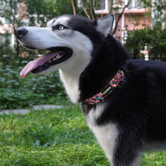 KISSBAK collar para perro grande, peonía rosa, suave y ajustable