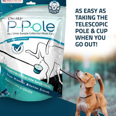 KIT4CAT CheckUp P-Pole: tazas desmontables para transportar orina fácilmente