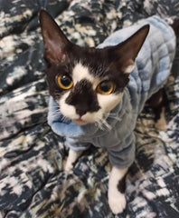 Hecho a mano Kitipcoo, prenda única para gato Sphynx.