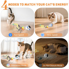KiwiLove Juguete Gato Interactivo con luz LED para captar su atención.