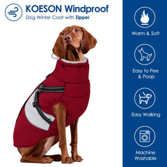 KOESON variedad de tallas para perros grandes y pequeños.
