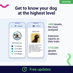Koko Genetics Starter: análisis de ADN con más de 710,000 marcadores para información detallada