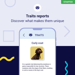 Koko Genetics Starter: árbol genealógico del perro para descubrir parientes y orígenes