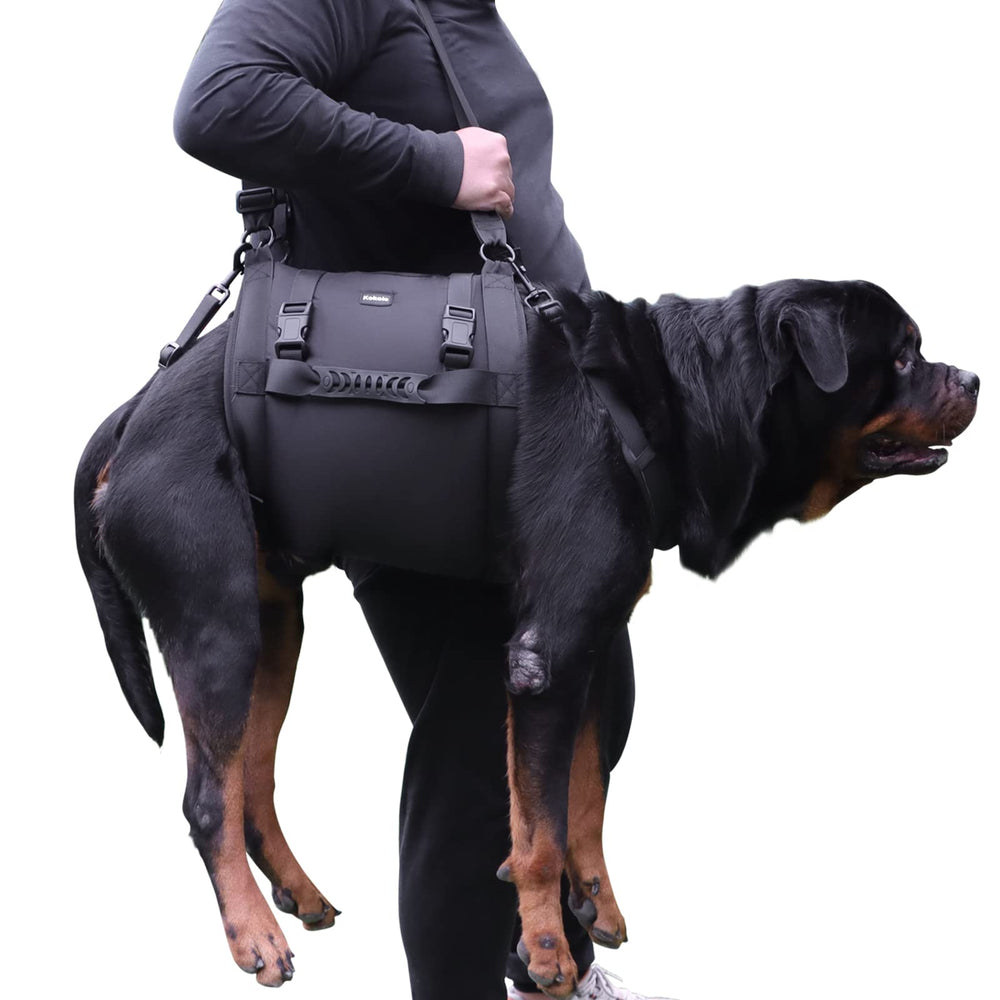 Kokoie arnés elevador para perros: levantamiento frontal para subir y bajar sin esfuerzo.