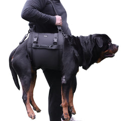 Kokoie arnés elevador para perros: levantamiento frontal para subir y bajar sin esfuerzo.
