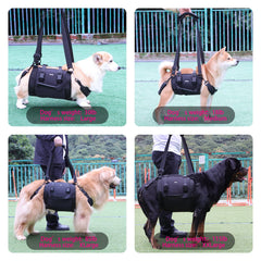 Kokoie arnés para perros: soporte corporal completo para movilidad estable.