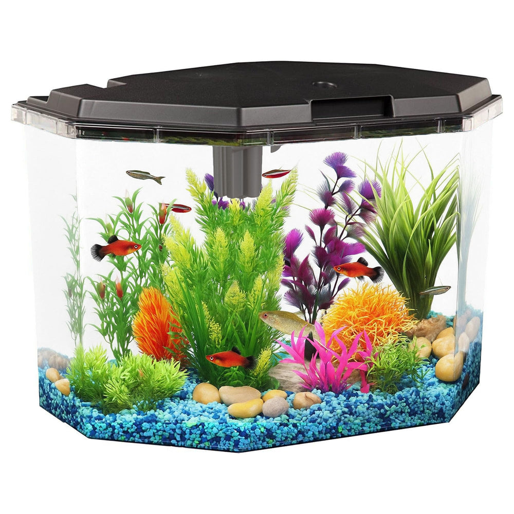 Koller AP650 con luz LED de bajo consumo realza colores de peces tropicales.