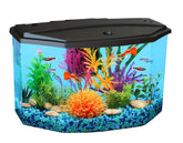 Koller Products acuario 3 galones con LED de 4 colores para disfrutar de visualización vibrante.