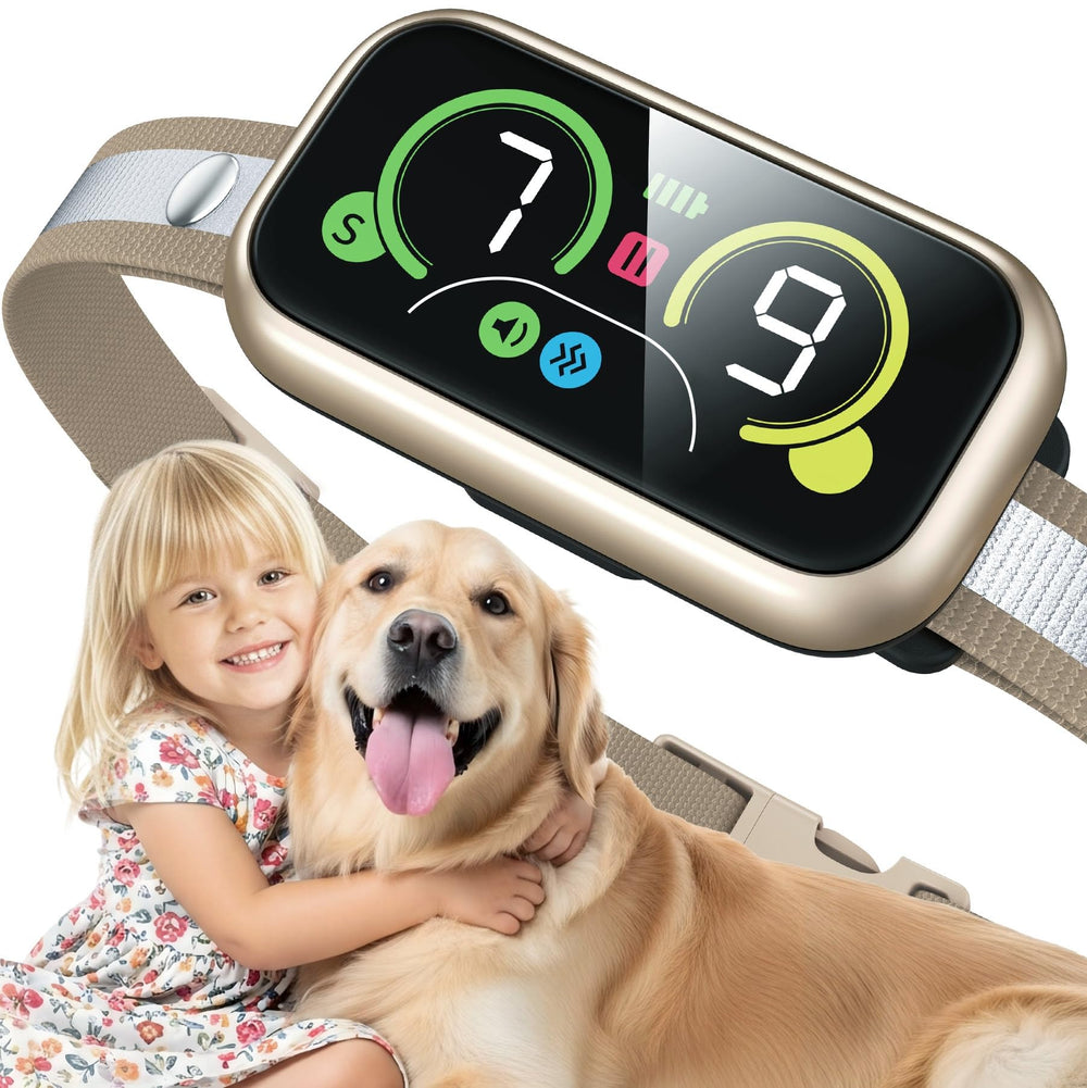 Kollgux collar anti-ladridos, vista frontal, control de ladridos para perros en paseos.