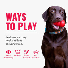 KONG Cloud E-Collar: no deja marcas en muebles, hogar limpio.