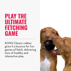 KONG Extreme Ball duradera, hecha de goma natural para juego diario.
