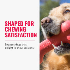 KONG Hueso Goodie rojo para masticación de perros grandes con foco en juego