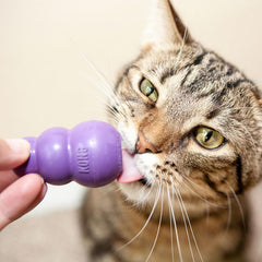 KONG Kitty: dispensador de golosinas para gatos, fomenta búsqueda y estimulación mental