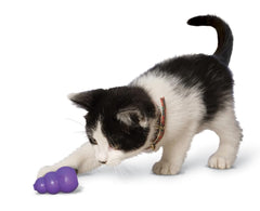 KONG Kitty: material duradero y ligero, diseñado para juego prolongado y seguro