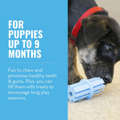KONG Puppy Teething Stick ideal para premios y rellenos sabrosos.