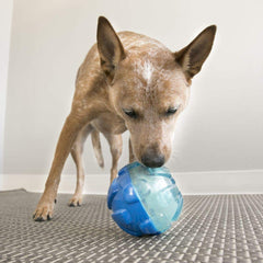 KONG Rewards Ball: dispensador de golosinas para perros grandes.