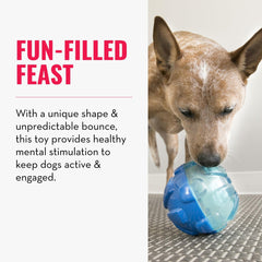 KONG Rewards Ball: visual de rebote para mantener activo al perro.