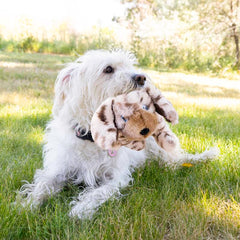 KONG Toughz con doble chirrido para estimular juego activo y divertido.