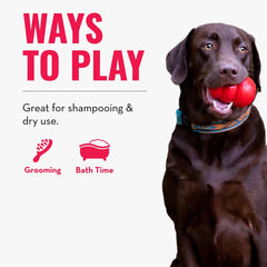 KONG ZoomGroom en frambuesa y zarzamora, dos colores atractivos para perros grandes.