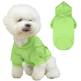 KOOLTAIL basico hoodie perro verde visto de frente, cómodo para paseos.