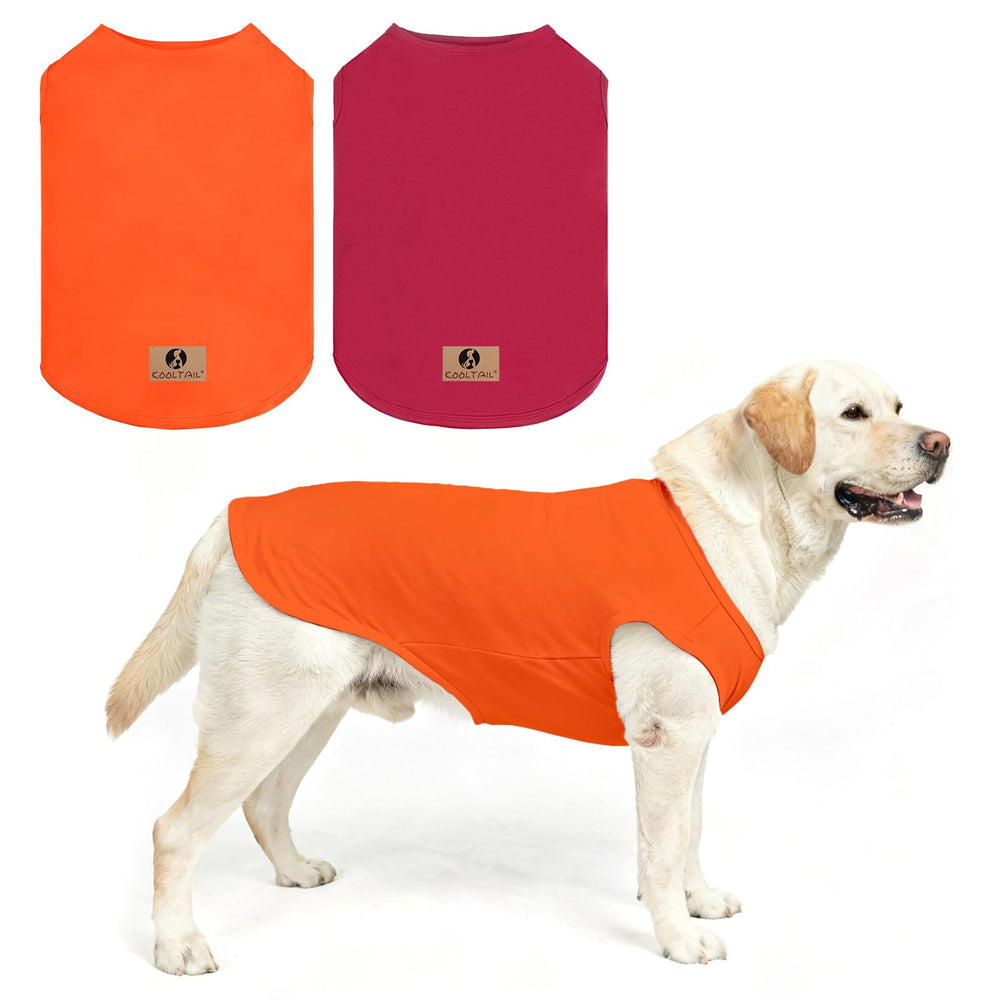 KOOLTAIL camiseta para perro grande frente, comodidad en paseos diarios.