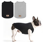 KOOLTAIL camiseta para perro macho de algodón, protección UV para salidas al sol