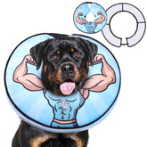 KOOLTAIL cono inflable para perro con ajuste cómodo y seguro