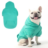 KOOLTAIL sudadera para perros con capucha en color lago azul, abrigada y con estilo para paseos