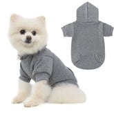 KOOLTAIL hoodie para perros Basic, vista frontal, cómodo para paseos diarios.